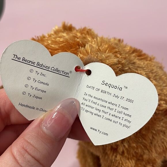 Sequoia the Brown Bear 2001 Ty Original Beanie Baby NWT Excellent Condition - Picture 8 of 8